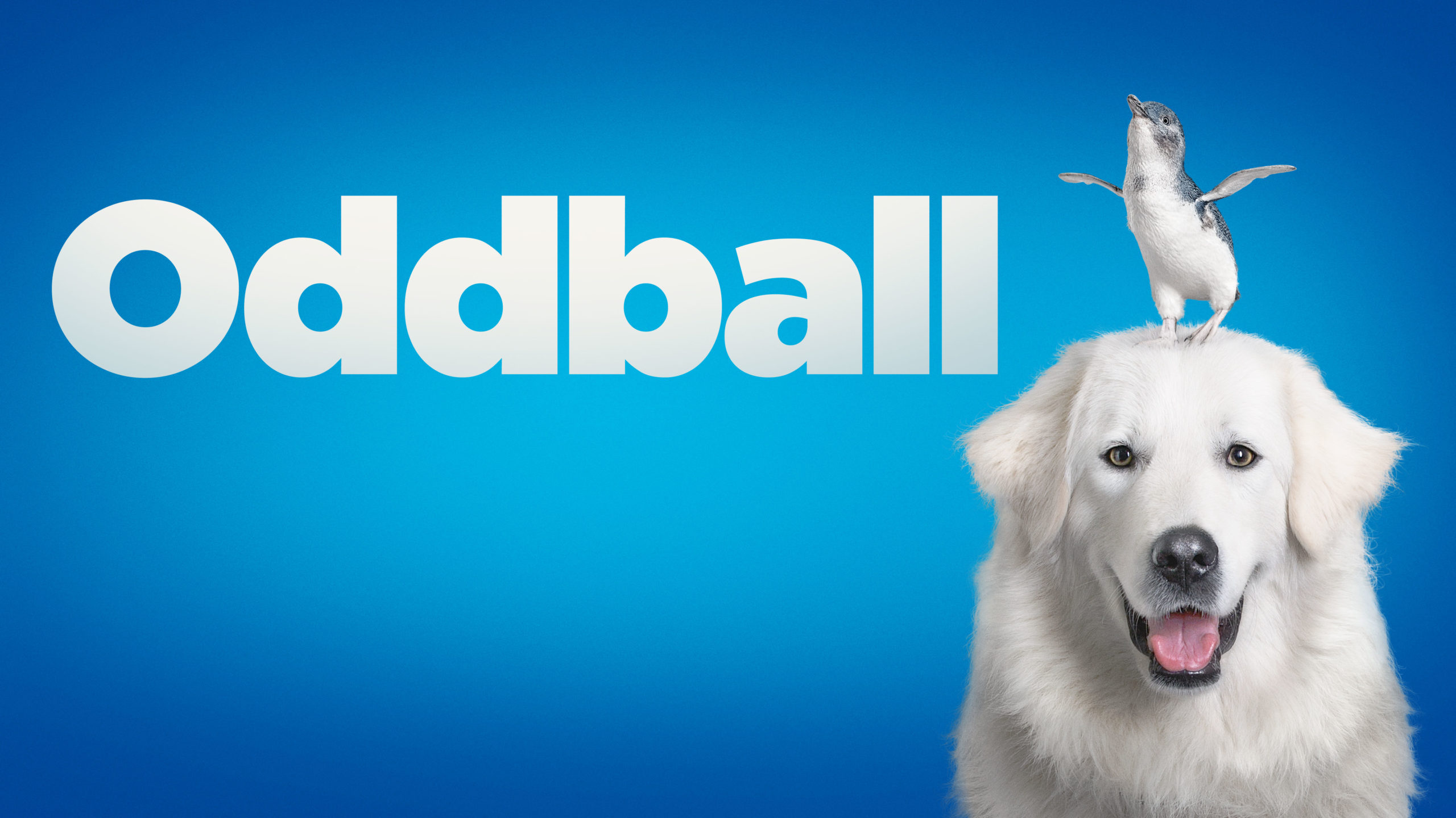 Oddball: The Movie – WTFN