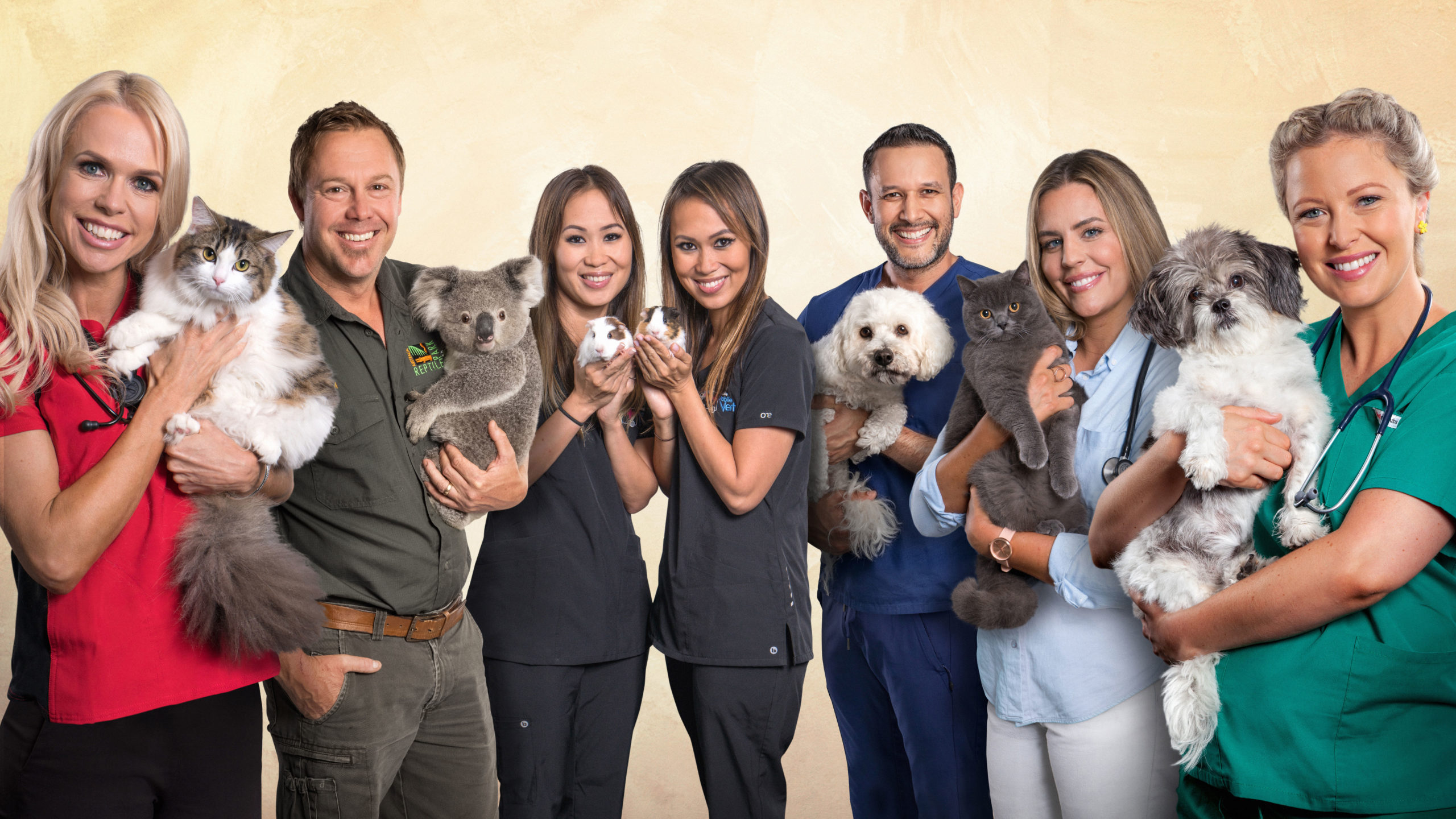 Bondi Vet Bolstered By Brand Partners Wtfn