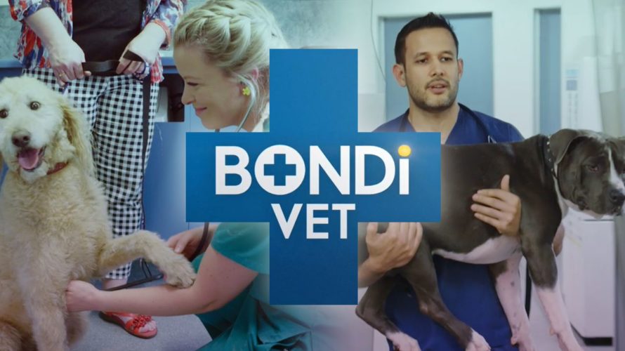 Budget Direct, Prime 100 join Bondi Vet series