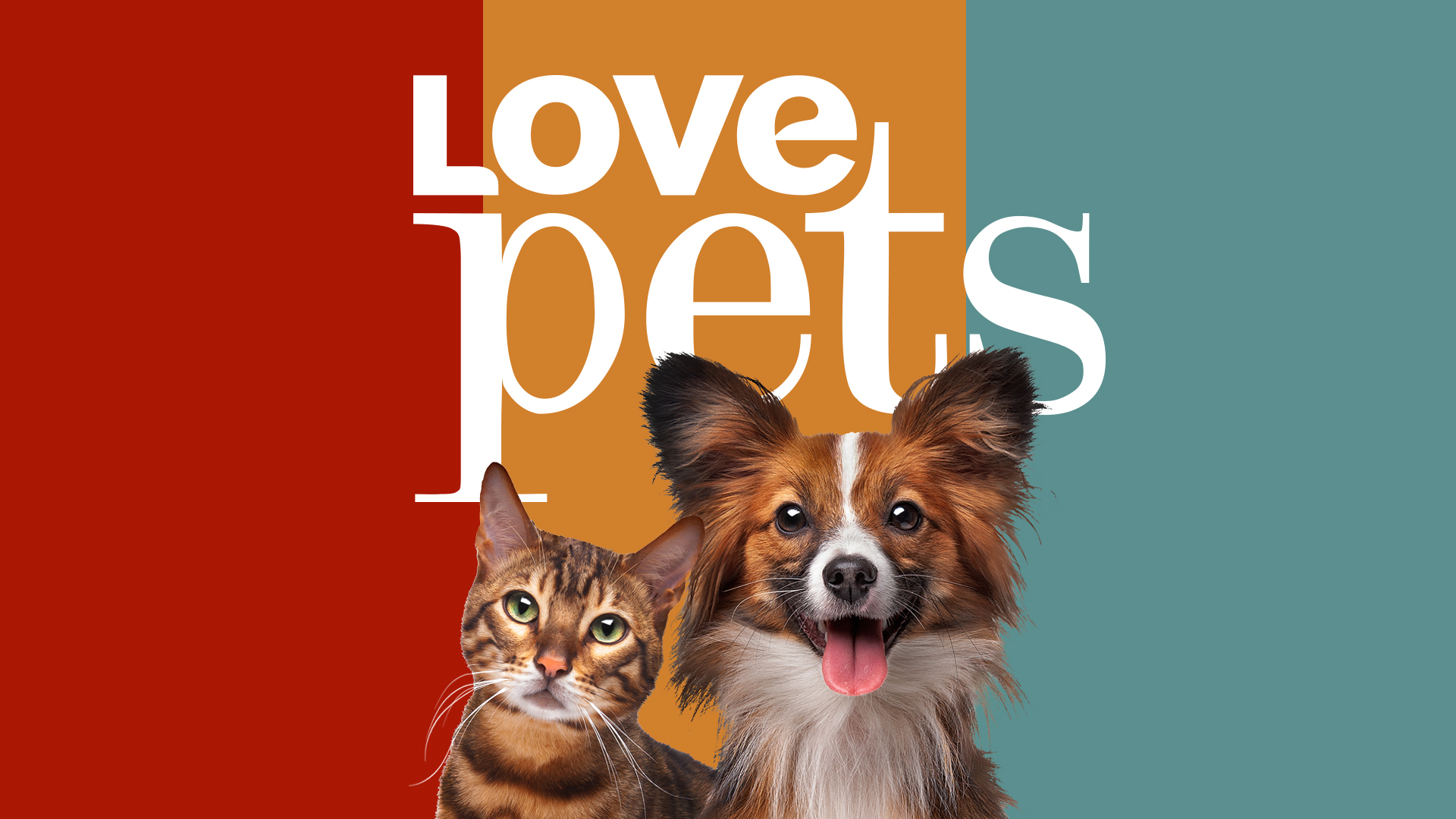 Bondi Vet partners with Blue Ant Media on Love Pets FAST channel – WTFN